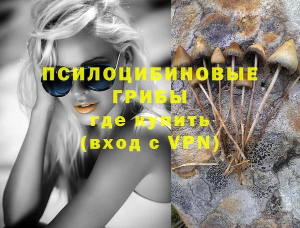 стафф Алексеевка