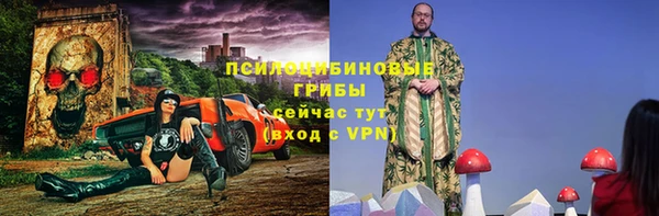 крисы Алексин