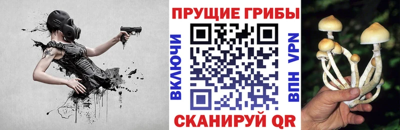 Псилоцибиновые грибы MAGIC MUSHROOMS  Кирсанов 
