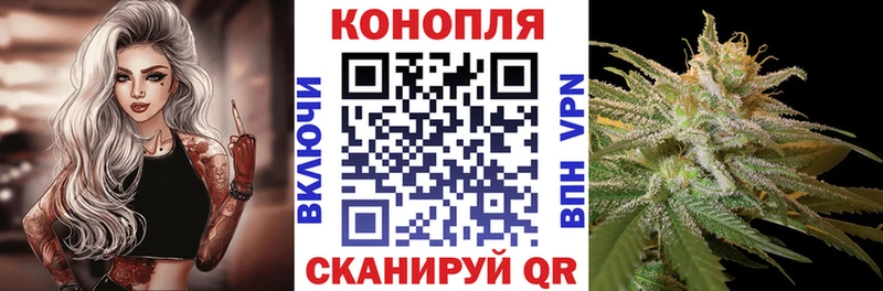 Шишки марихуана Bruce Banner  OMG зеркало  Кирсанов  как найти закладки 